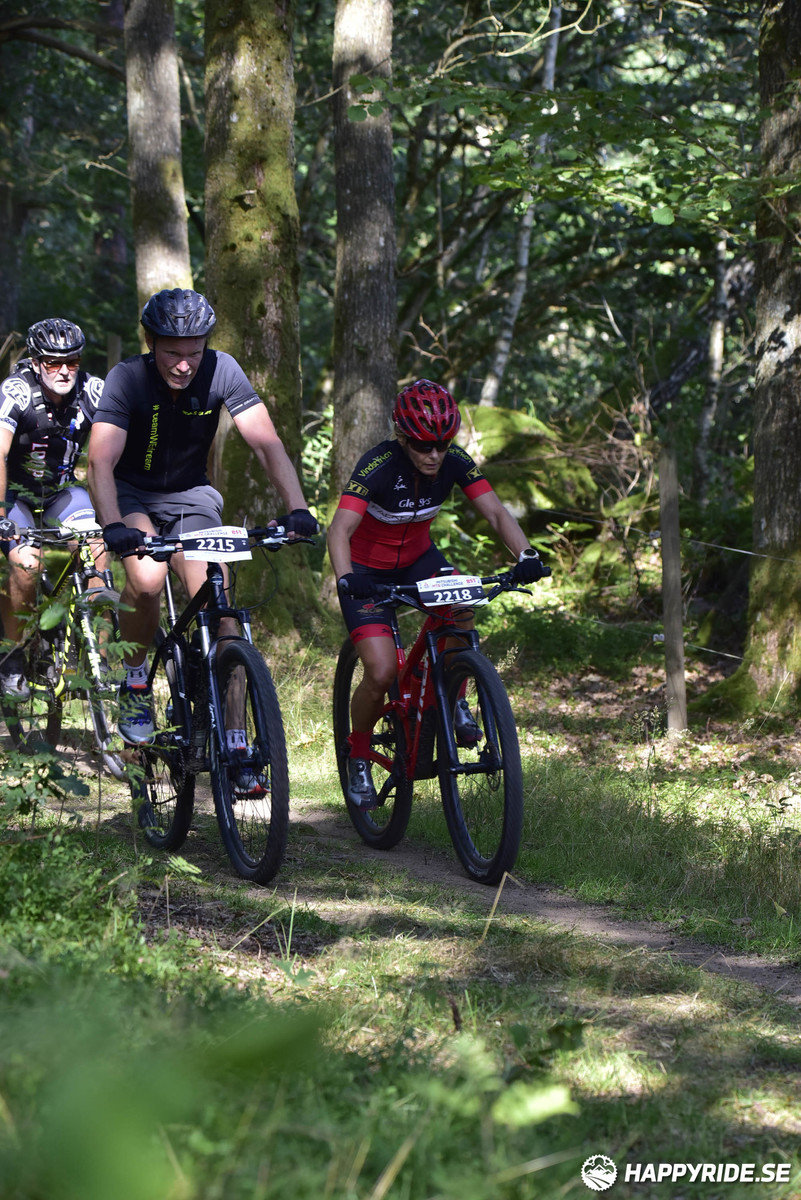 Bild från Bockstensturen 2019